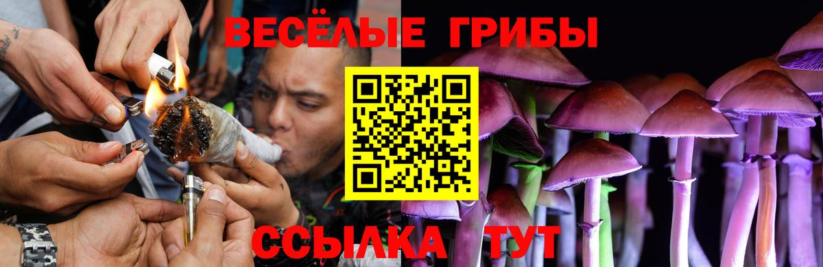 Галлюциногенные грибы Psilocybine cubensis Уварово